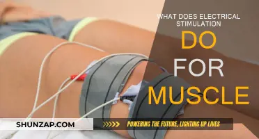 Electrical Stimulation: Muscle Recovery and Growth