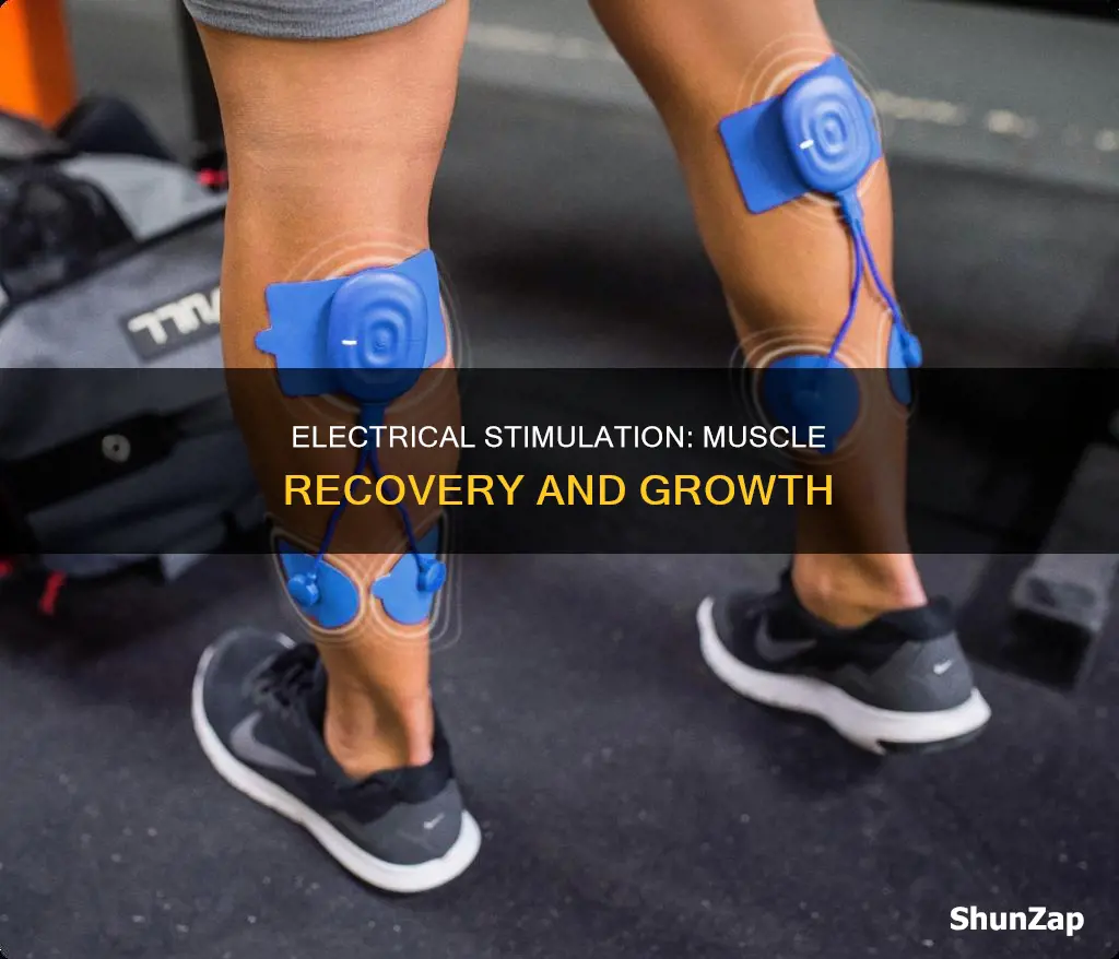 what does electrical stimulation do for muscles