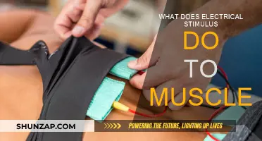 Electrical Stimulus: Muscle Movement and You
