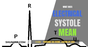 Electrical Systole: Understanding the Heart's Electrical Discharge