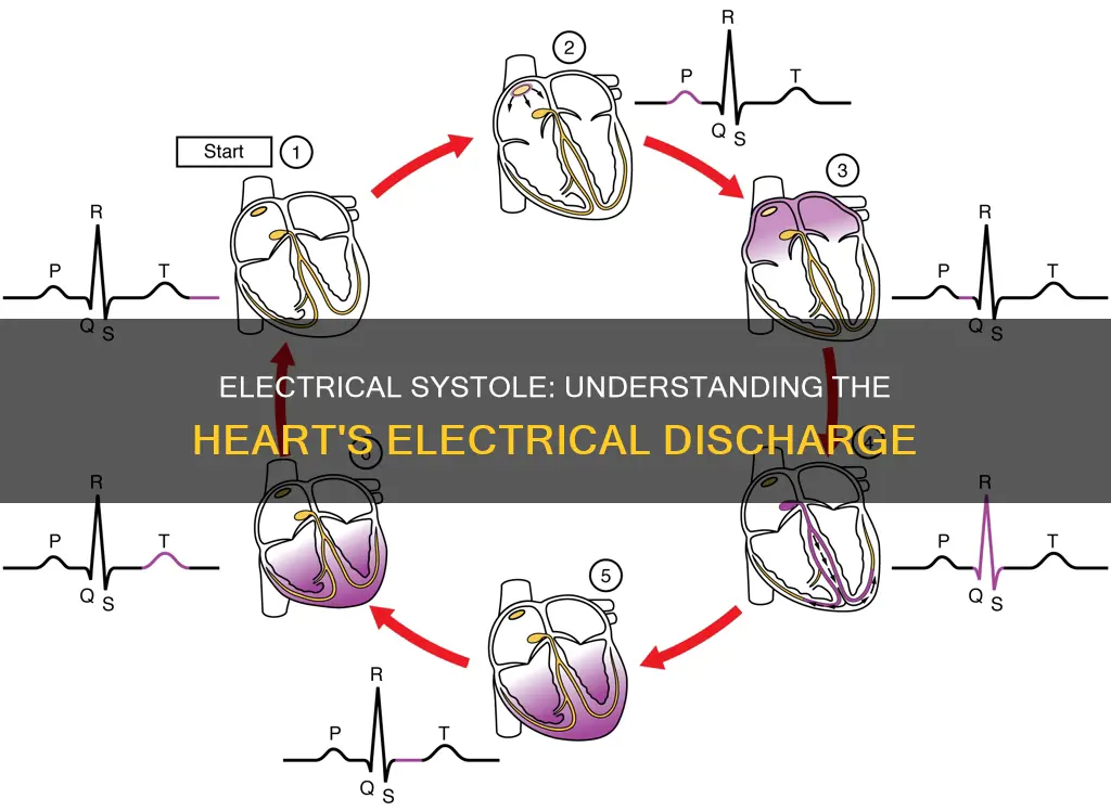 what does electrical systole mean