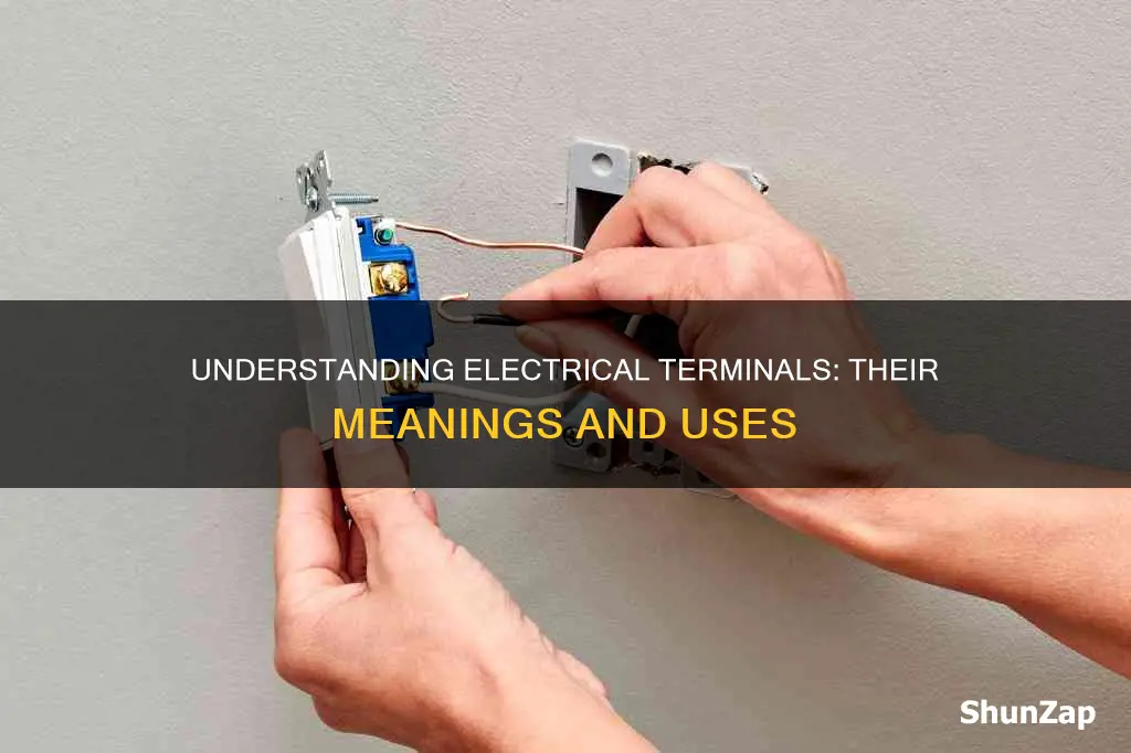 what does electrical terminal mean