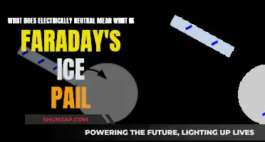 Electrically Neutral: Faraday's Ice Pail Experiment Explained