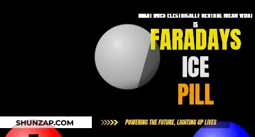 Electrically Neutral: Faraday's Ice Pail Experiment Explained