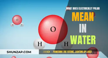 Electrically Polar Water: Understanding the Unique Properties