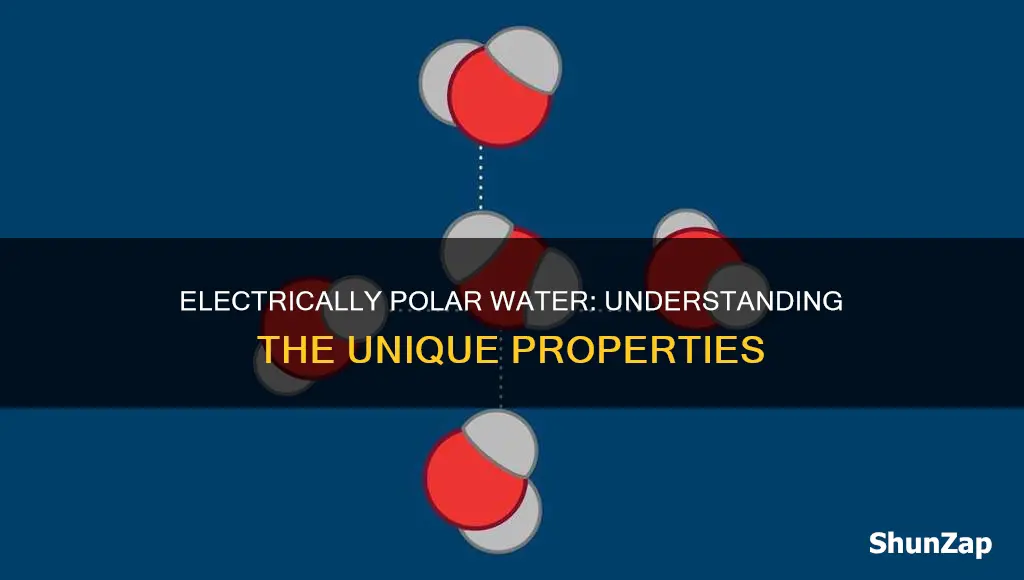 what does electrically polar mean in water