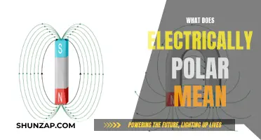 Electrical Polarity: Understanding Electric Charge and Forces