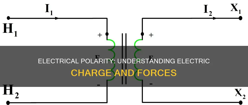 what does electrically polar mean