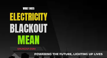 Blackout Basics: Understanding Power Outages and Their Meaning