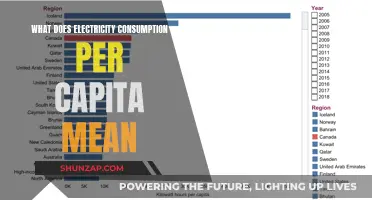 Understanding Electricity Consumption: Per Capita Impact Explained