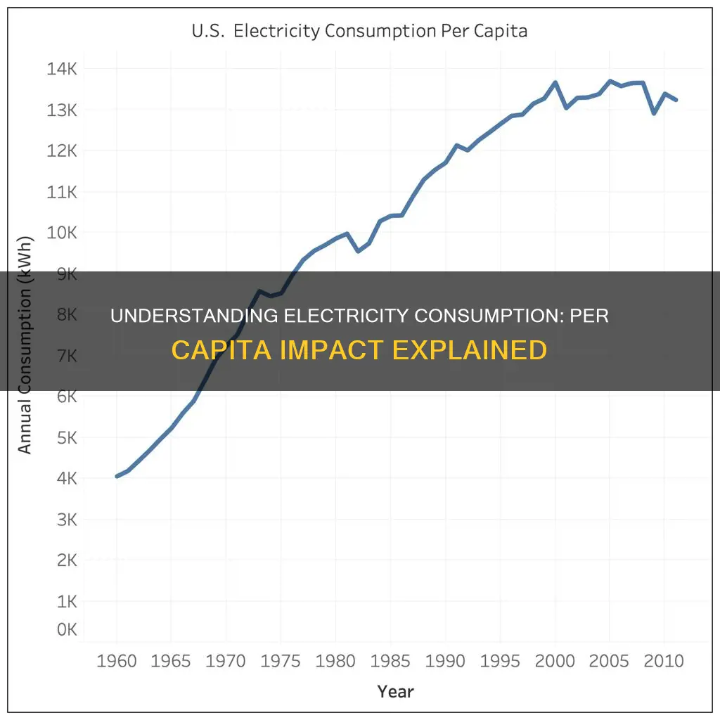 what does electricity consumption per capita mean