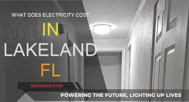 Electricity Costs in Lakeland, FL: How Much?