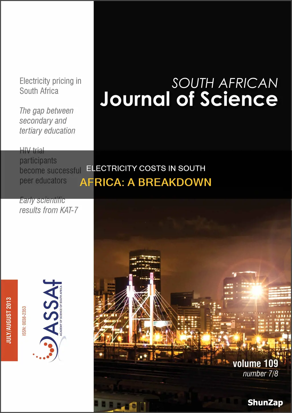 what does electricity cost in south africa