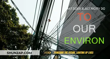 Electricity's Impact: Environmental Friend or Foe?