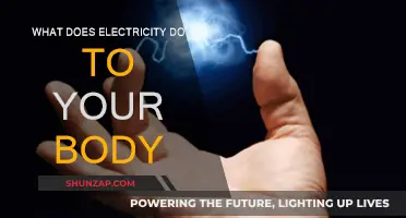 Electricity's Shocking Impact on the Human Body