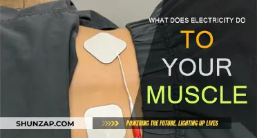 Electricity's Impact on Muscles: Stimulation and Response