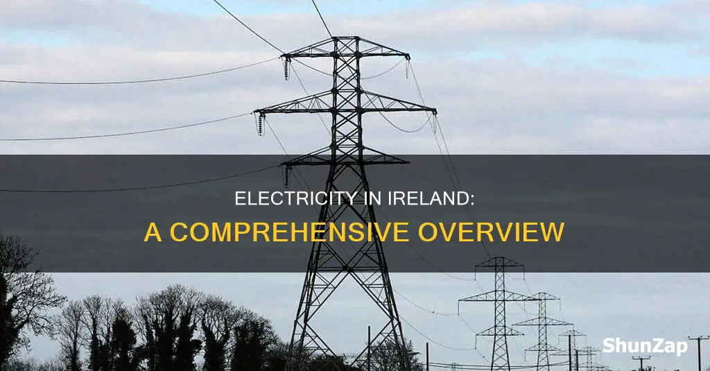 what does electricity mean in ireland