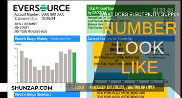 Electricity Supply Numbers: Understanding the Unique Identifier