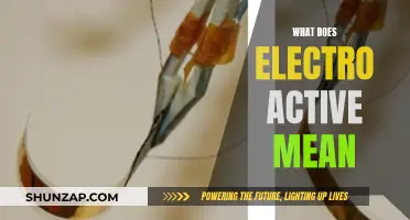The Intriguing World of Electro-Active Technology