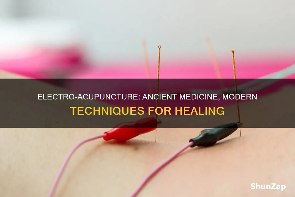 what does electro-acupuncture mean