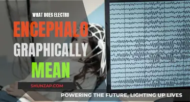 Brain Waves: Electroencephalography Explained