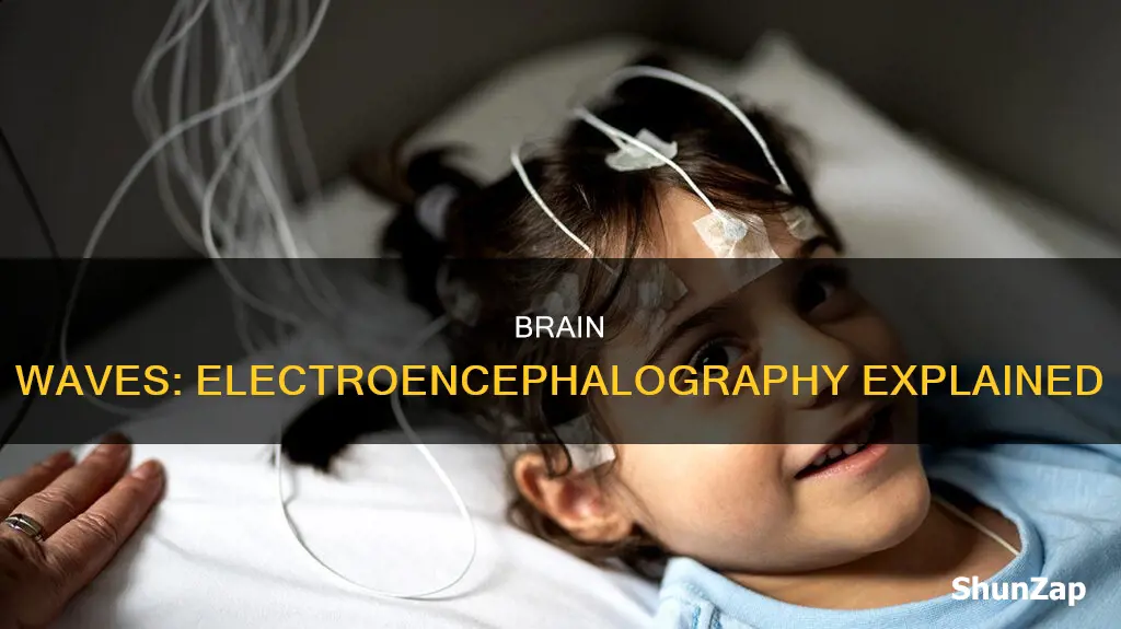 what does electro encephalo graphically mean