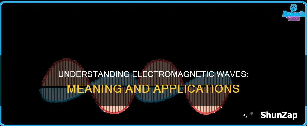 what does electro magnetic mean