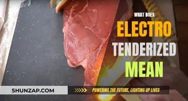 Understanding the Process of Electro Tenderization