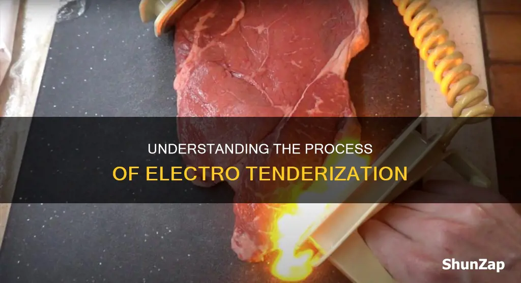 what does electro tenderized mean