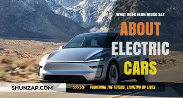 Elon Musk's Vision: Revolutionizing the Future of Electric Cars