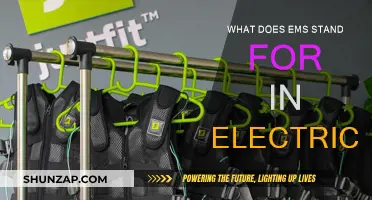 EMS: The Electrical Management System Explained