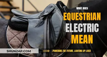 Horseback Riding's Electric Future: What Does it Mean?