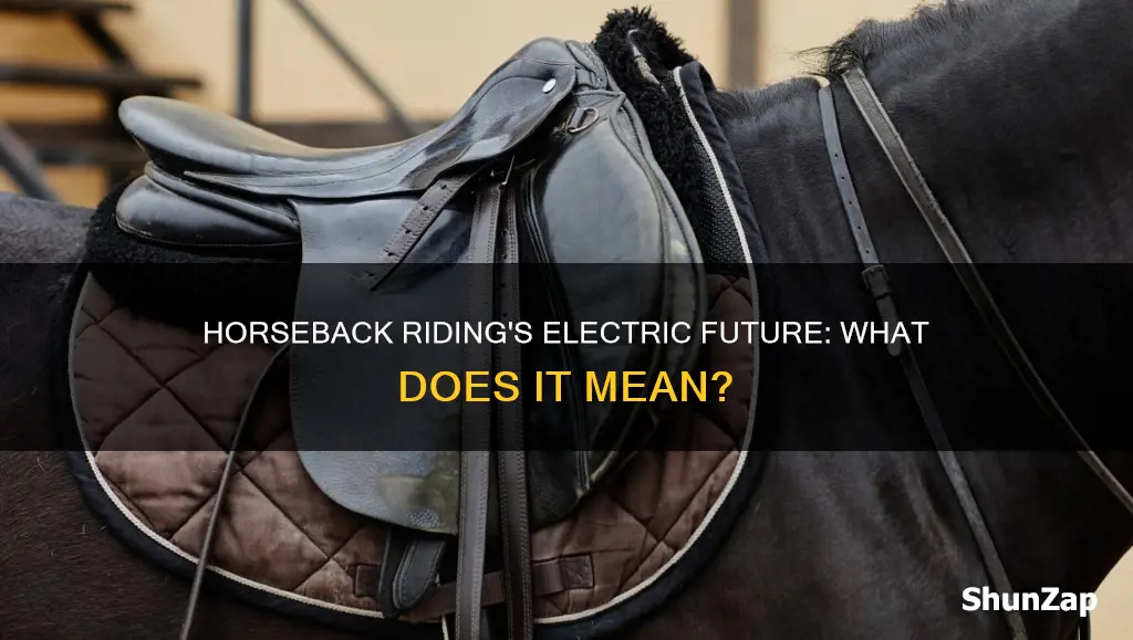 what does equestrian electric mean