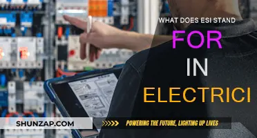 Electricity's ESI: What Does It Mean?