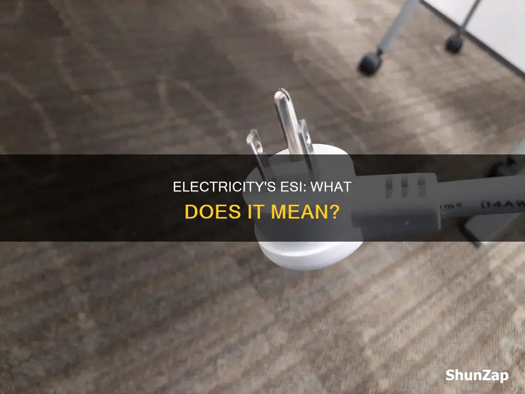 what does esi stand for in electricity