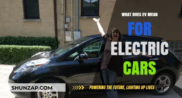 Understanding EV: What Electric Vehicles Mean for Modern Car Ownership