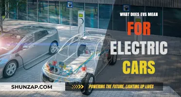 Understanding EVS: What It Means for Electric Cars and Their Future