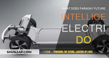 Faraday Future: Electric Cars, Redefined