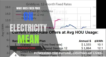 Understanding Fixed Electricity Pricing: What Does it Mean?