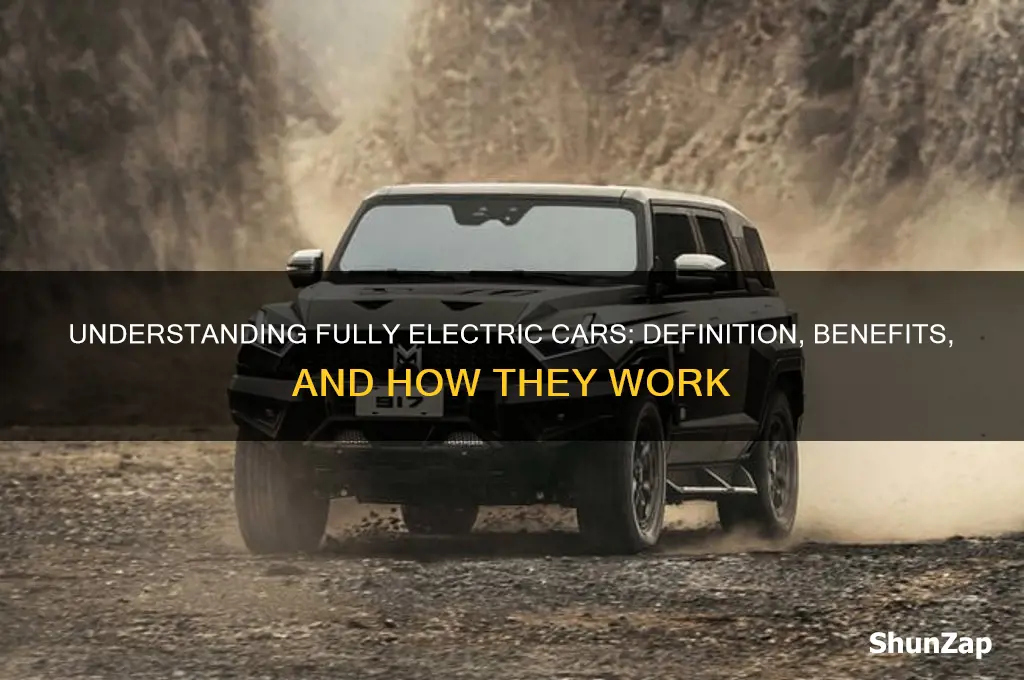 what does fully electric car mean