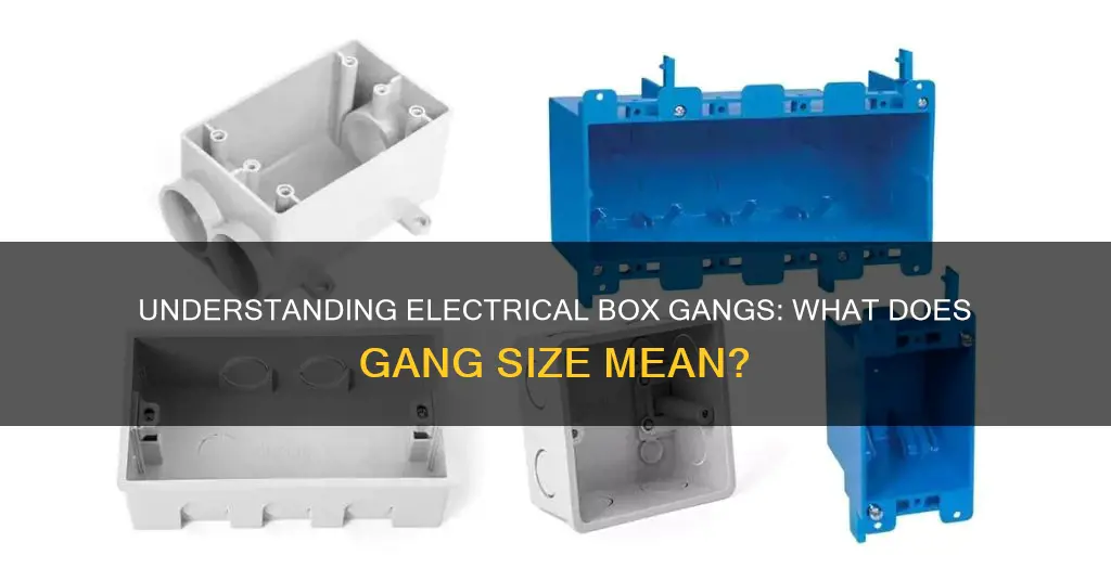what does gang mean for electrical boxes