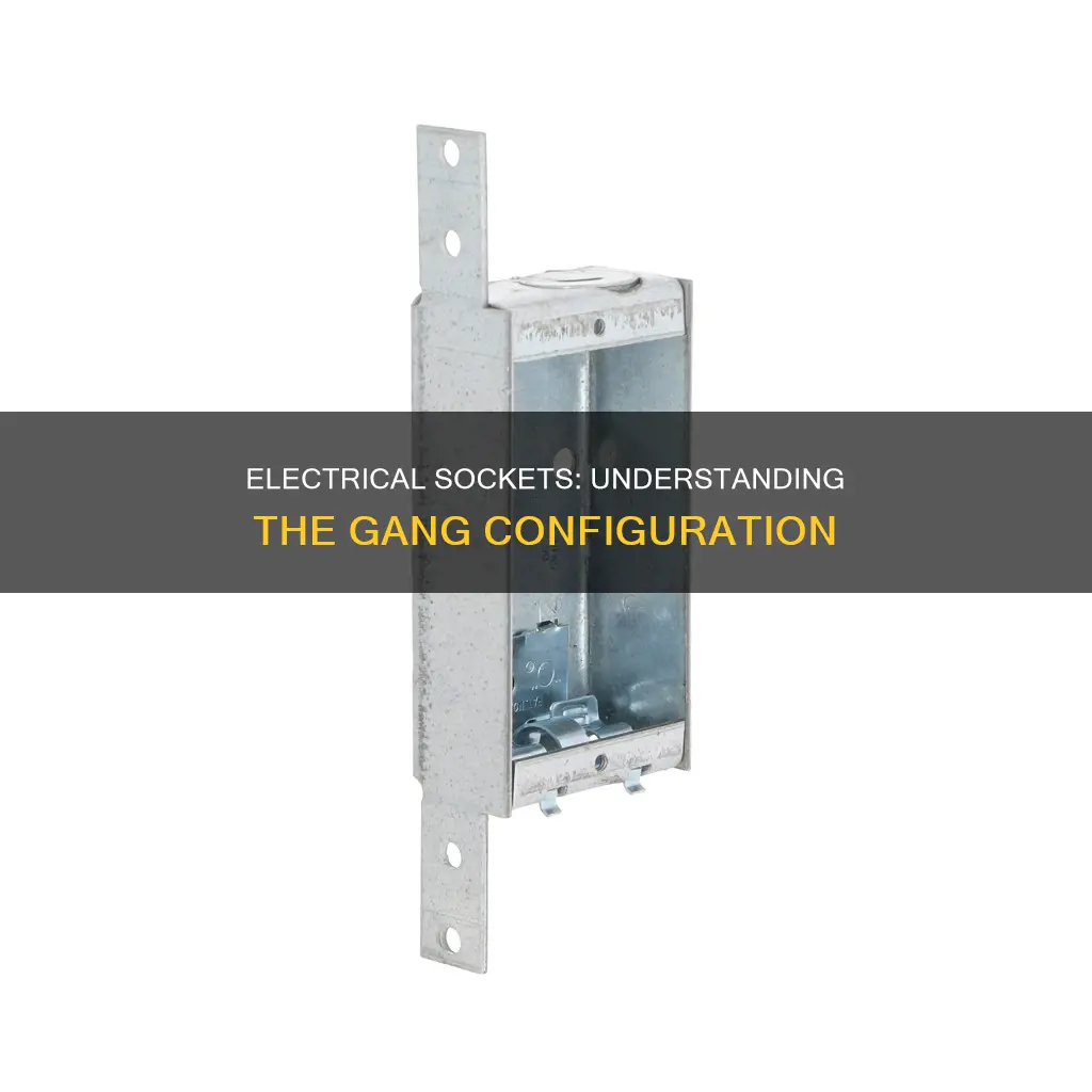 what does gang mean in electrical sockets