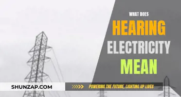 The Buzzing Truth: Hearing Electricity Explained