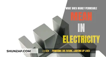 Electricity's Permeability: Understanding High Permeability in Conductive Materials