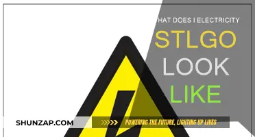Electricity's Evolution: Visualizing Power's Past and Future