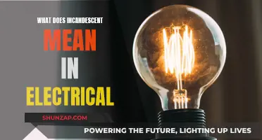 Incandescent Bulbs: How Do They Work and What Do They Mean?