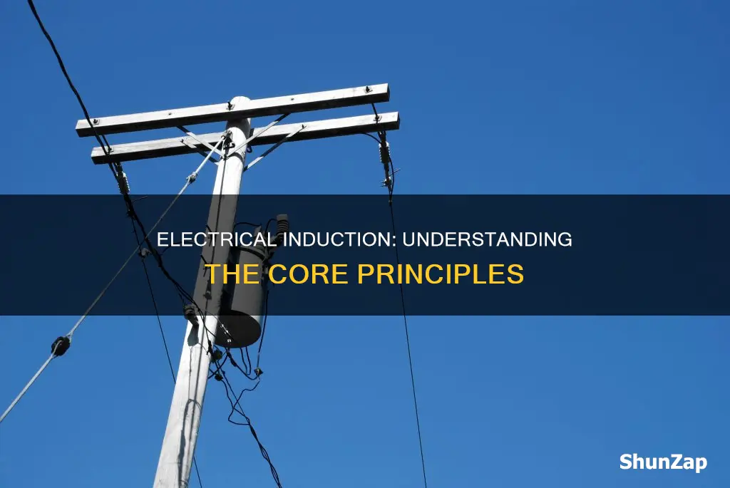 what does induction mean electrical