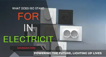 Understanding ISO: Electricity's International Standard