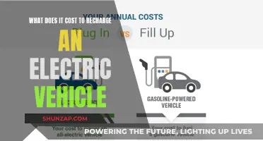 Electric Vehicle Recharge Costs: A Comprehensive Guide to Charging Expenses