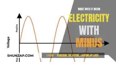 Understanding Negative Electricity: Exploring the Minus Sign's Significance